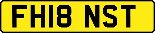 FH18NST