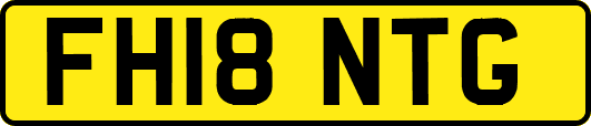 FH18NTG