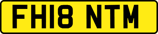 FH18NTM