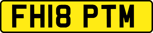 FH18PTM