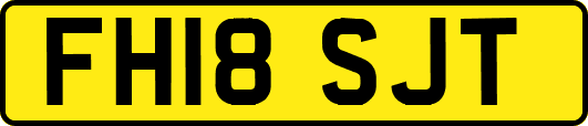 FH18SJT
