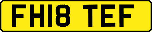 FH18TEF