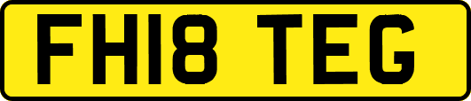 FH18TEG