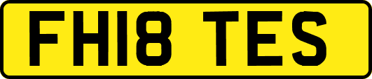 FH18TES
