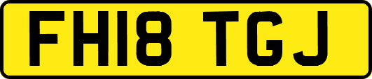 FH18TGJ