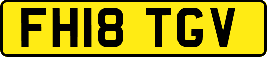 FH18TGV