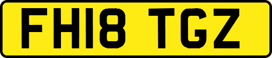 FH18TGZ