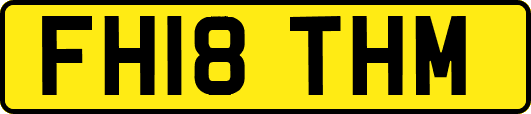 FH18THM