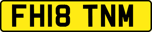 FH18TNM