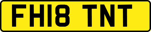 FH18TNT
