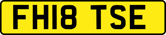 FH18TSE