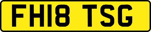 FH18TSG