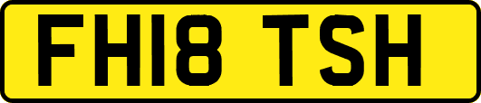 FH18TSH