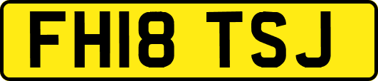 FH18TSJ