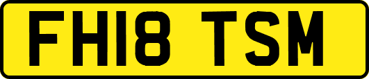 FH18TSM