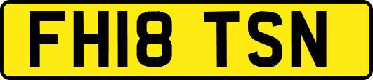 FH18TSN