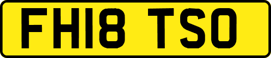 FH18TSO