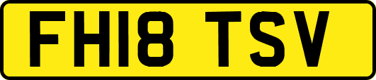 FH18TSV
