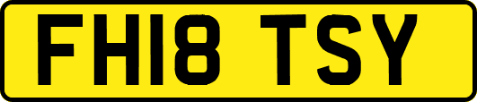 FH18TSY