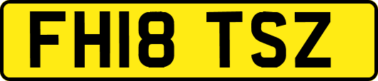 FH18TSZ
