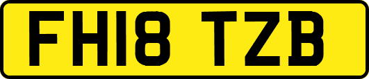 FH18TZB