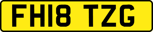 FH18TZG
