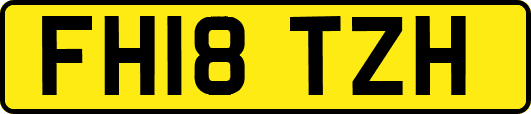 FH18TZH