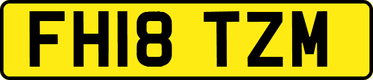 FH18TZM