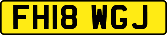 FH18WGJ