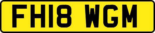 FH18WGM