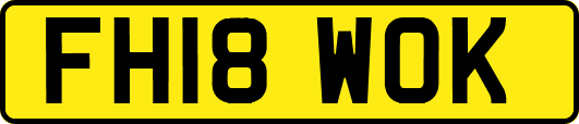 FH18WOK
