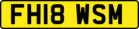 FH18WSM
