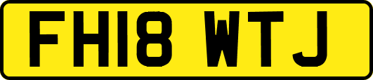 FH18WTJ