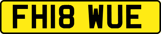 FH18WUE