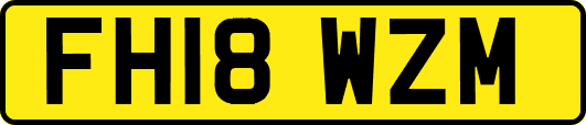 FH18WZM