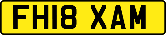 FH18XAM
