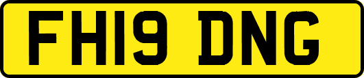 FH19DNG