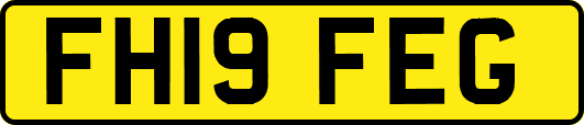 FH19FEG
