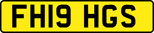 FH19HGS
