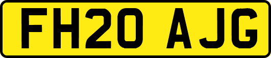 FH20AJG