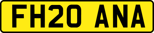 FH20ANA