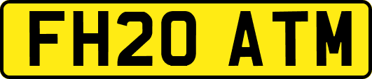 FH20ATM