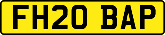 FH20BAP
