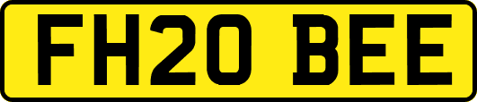 FH20BEE