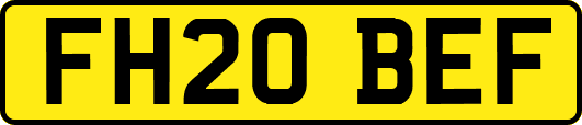 FH20BEF
