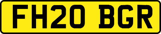 FH20BGR