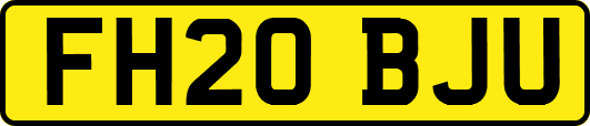 FH20BJU