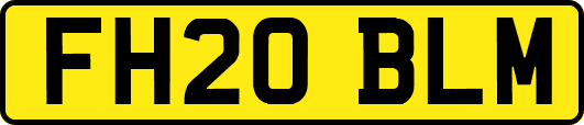 FH20BLM