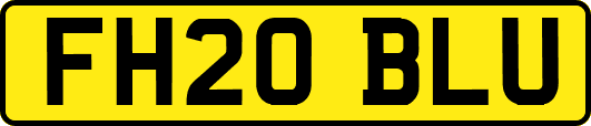 FH20BLU