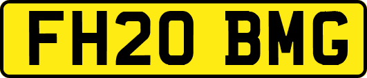 FH20BMG